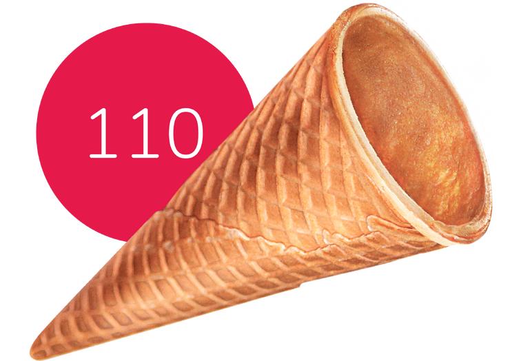 Стандарт 110